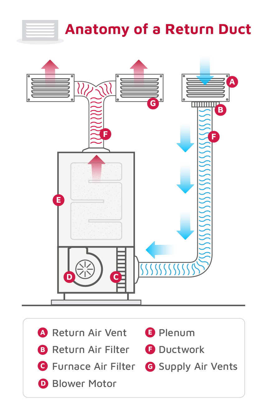 Anatomy of supply and return duct.jpg