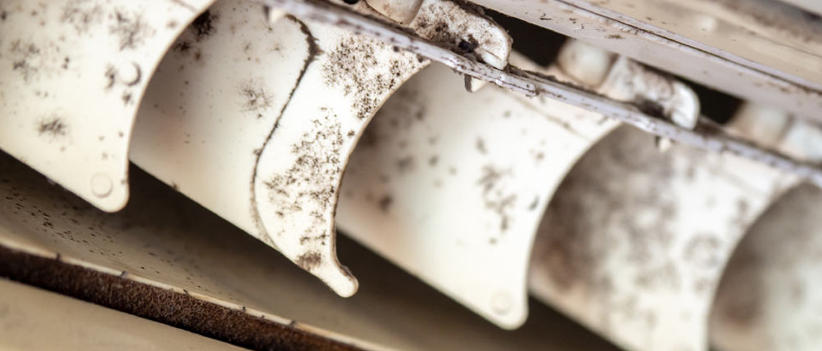Mold in air conditioner unit