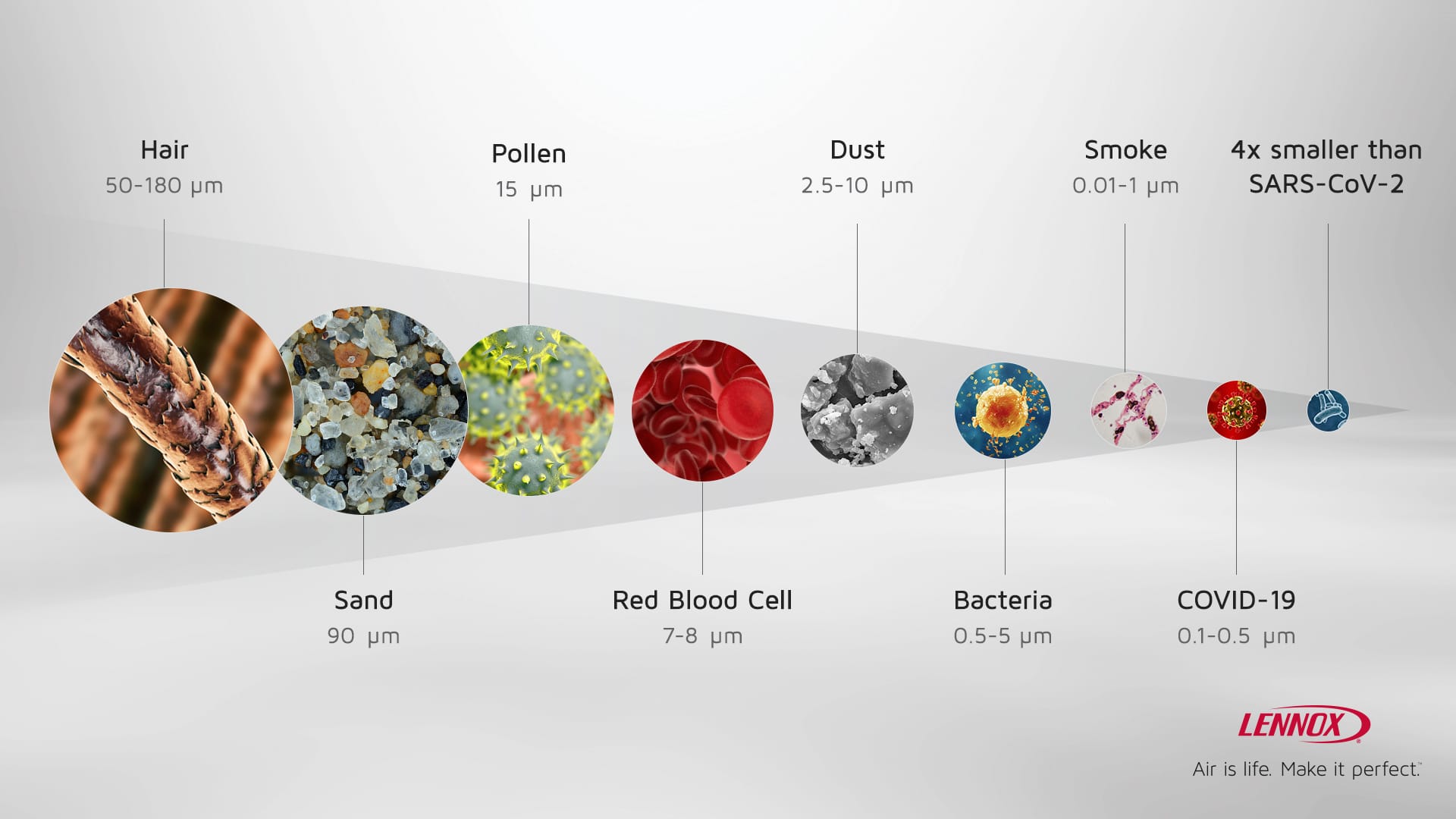 Lineup of household allergens