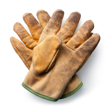 Image for Green Grass Gloves